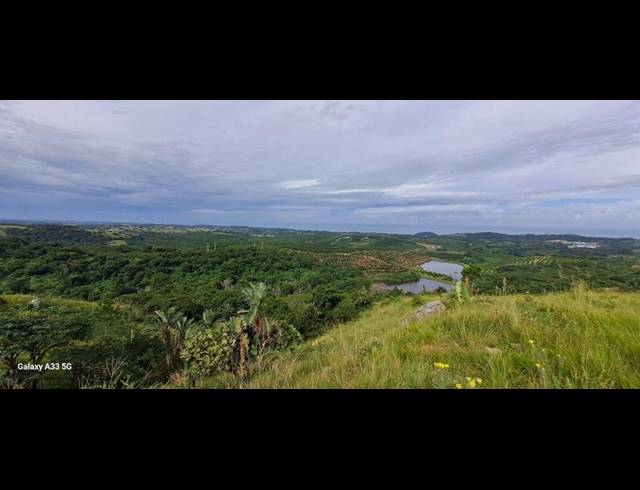 FARM FOR SALE IN LEISURE BAY